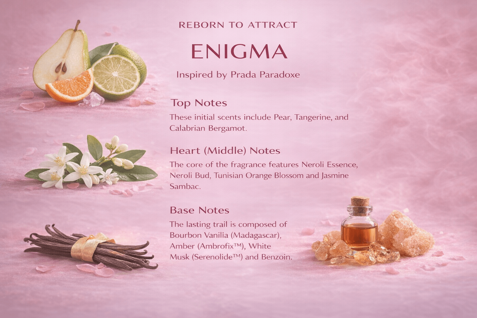 Enigma - Reborn Paradoxe by Pd - Born To Smell Good | BTSG
