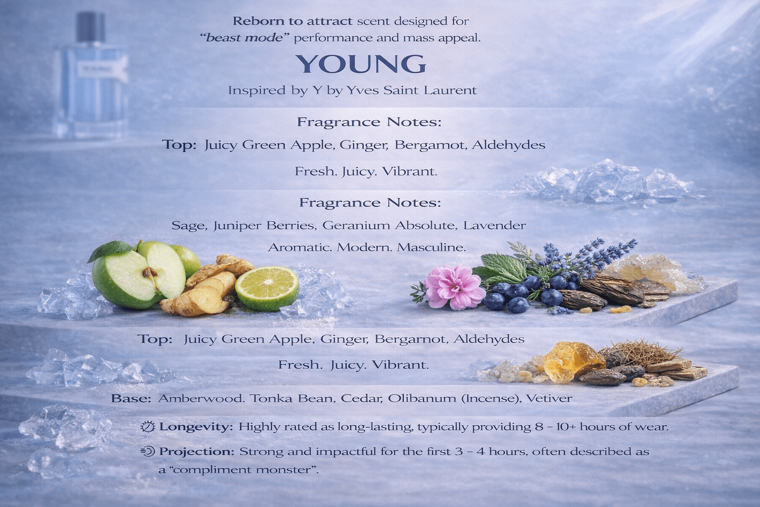 Young - Reborn Y by YSL - Born To Smell Good | BTSG